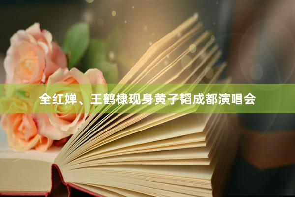 全红婵、王鹤棣现身黄子韬成都演唱会