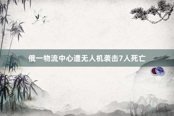 俄一物流中心遭无人机袭击7人死亡