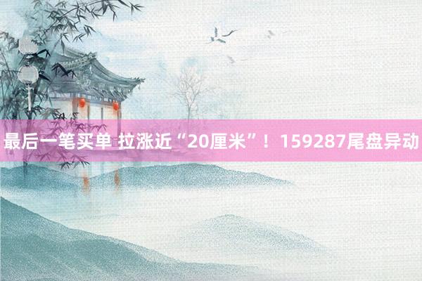 最后一笔买单 拉涨近“20厘米”！159287尾盘异动