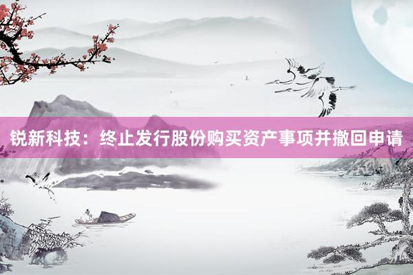 锐新科技：终止发行股份购买资产事项并撤回申请