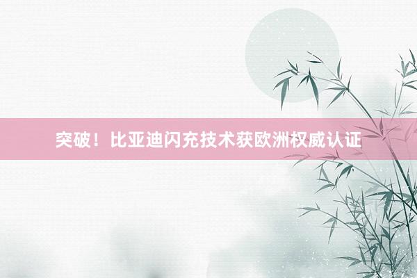 突破！比亚迪闪充技术获欧洲权威认证