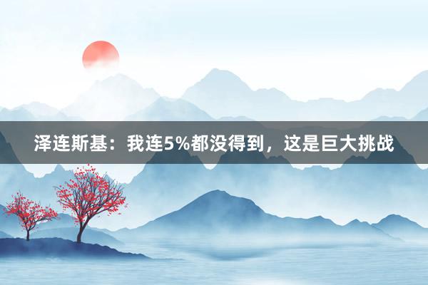 泽连斯基：我连5%都没得到，这是巨大挑战