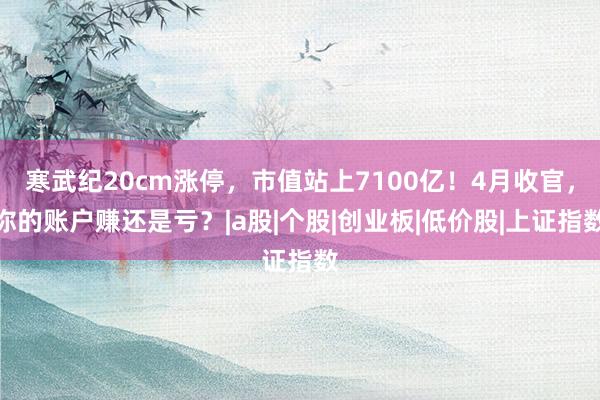寒武纪20cm涨停，市值站上7100亿！4月收官，你的账户赚还是亏？|a股|个股|创业板|低价股|上证指数