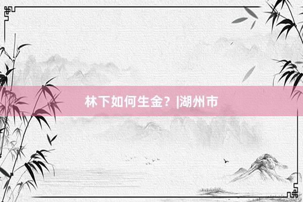 林下如何生金？|湖州市