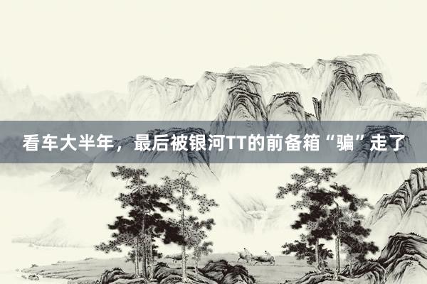 看车大半年，最后被银河TT的前备箱“骗”走了