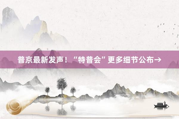普京最新发声！“特普会”更多细节公布→