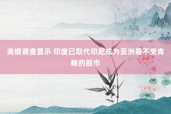 美银调查显示 印度已取代印尼成为亚洲最不受青睐的股市