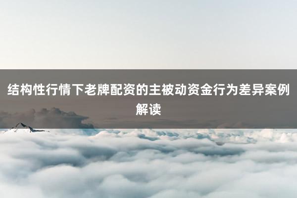 结构性行情下老牌配资的主被动资金行为差异案例解读