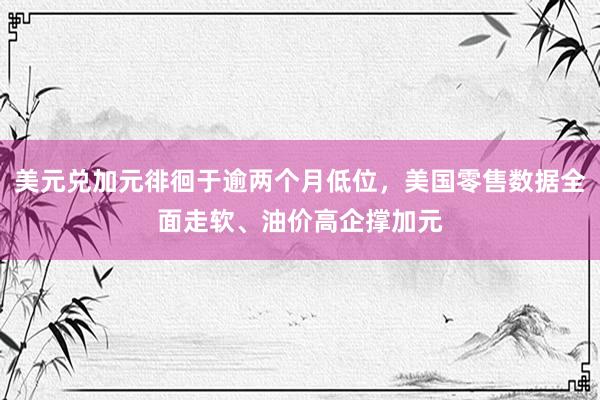 美元兑加元徘徊于逾两个月低位，美国零售数据全面走软、油价高企撑加元