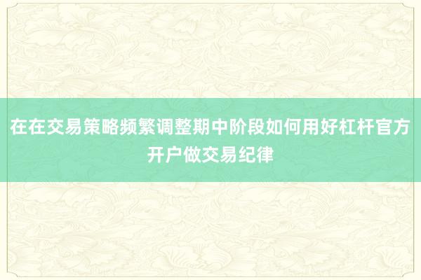 在在交易策略频繁调整期中阶段如何用好杠杆官方开户做交易纪律