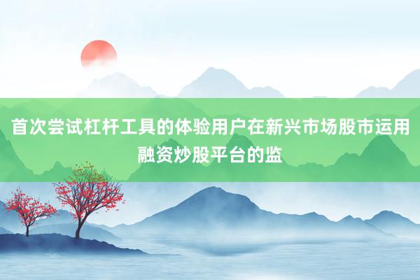 首次尝试杠杆工具的体验用户在新兴市场股市运用融资炒股平台的监