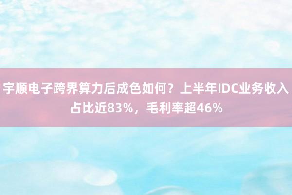 宇顺电子跨界算力后成色如何？上半年IDC业务收入占比近83%，毛利率超46%