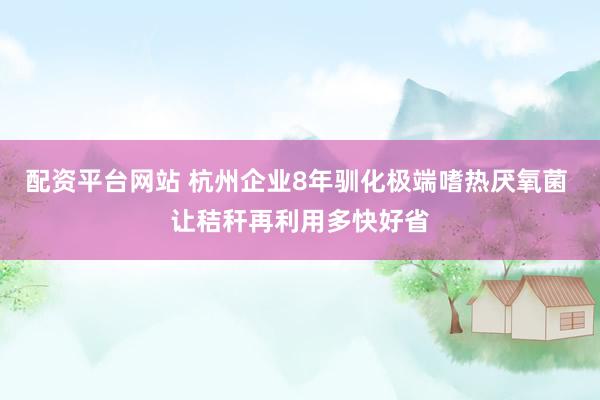 配资平台网站 杭州企业8年驯化极端嗜热厌氧菌 让秸秆再利用多快好省