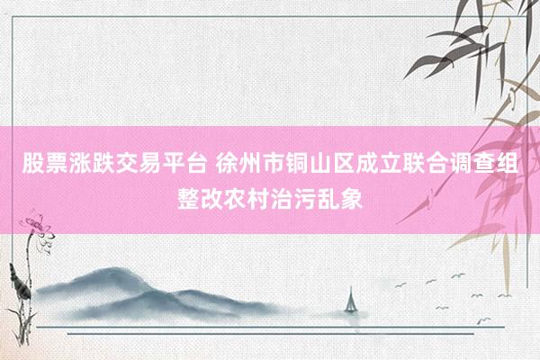股票涨跌交易平台 徐州市铜山区成立联合调查组整改农村治污乱象