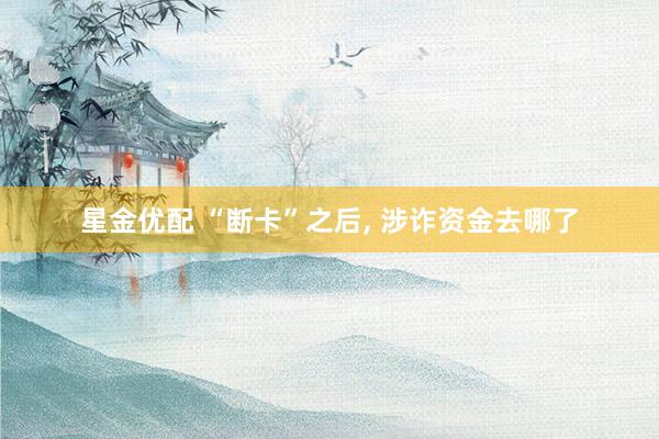 星金优配 “断卡”之后, 涉诈资金去哪了