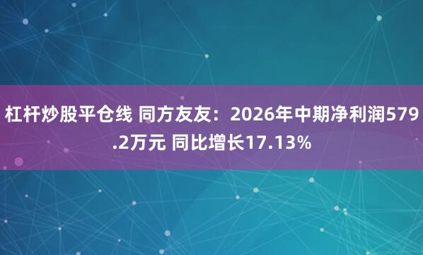 杠杆炒股平仓线 同方友友：2026年中期净利润579.2万元 同比增长17.13%