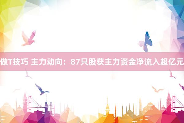 做T技巧 主力动向：87只股获主力资金净流入超亿元